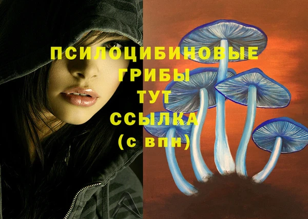 мдма Ростов