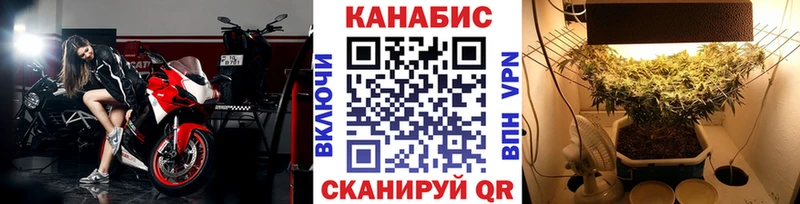 Каннабис гибрид  Абаза 